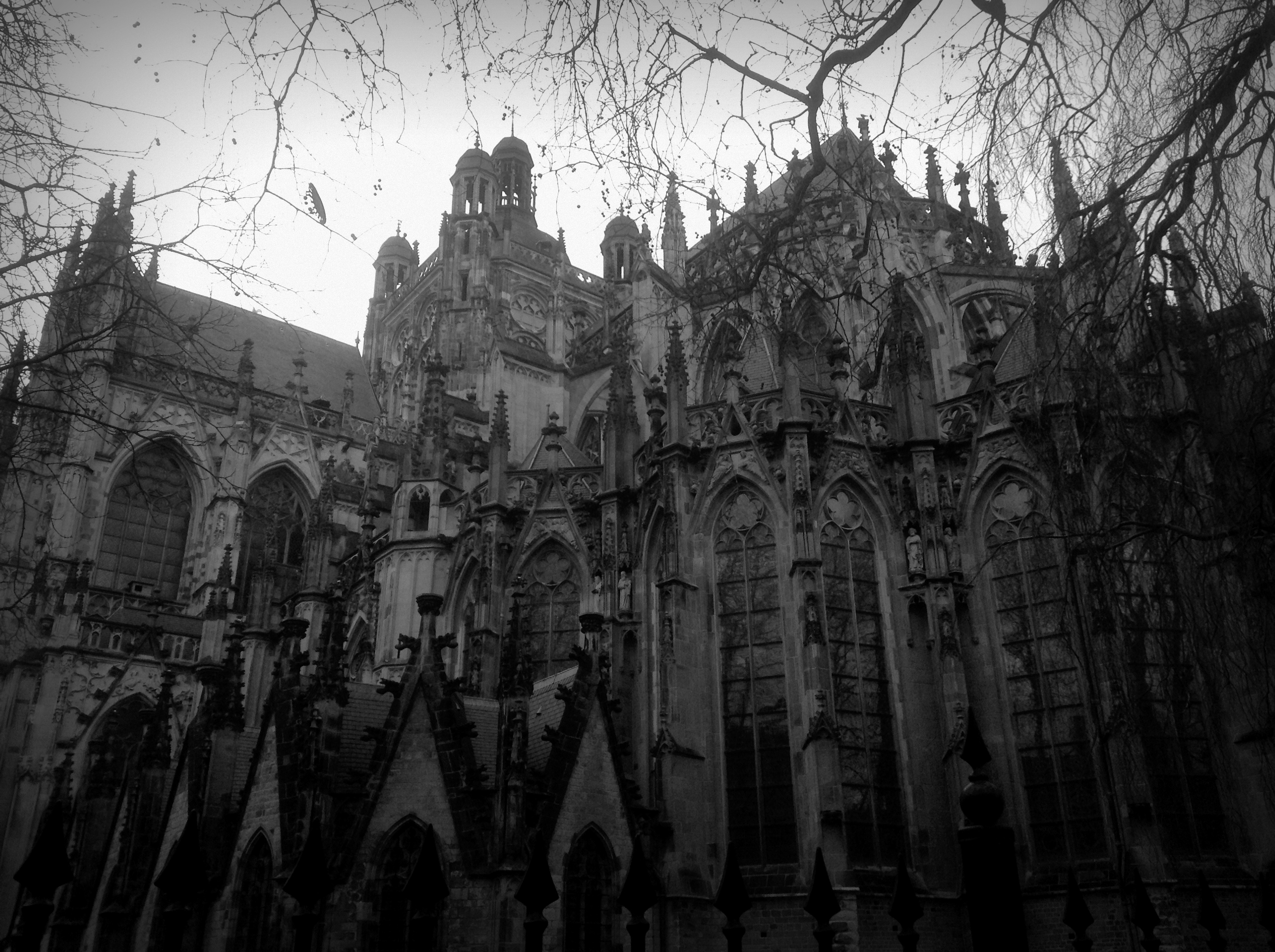 St.-Johannes-Kathedrale (’s-Hertogenbosch) (Foto: Theresa Arlt)